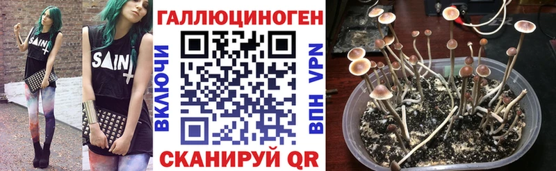 Псилоцибиновые грибы ЛСД  Кашин 